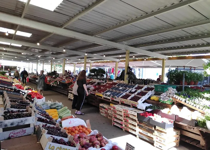 Lägenhet Jakobi Guest Tallinn